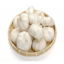 2017 new crop type buy china natural fresh garlic pure white garlic price